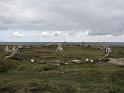 Ouessant 075